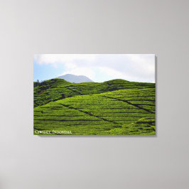 Lienzo Fotografía de paisaje de plantación de té Indonesi