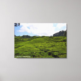 Lienzo Fotografía de paisaje de plantación de té Indonesi