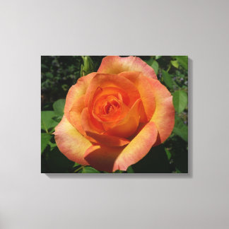 Lienzo Fotografía de Peach Rosa Naranja Floral