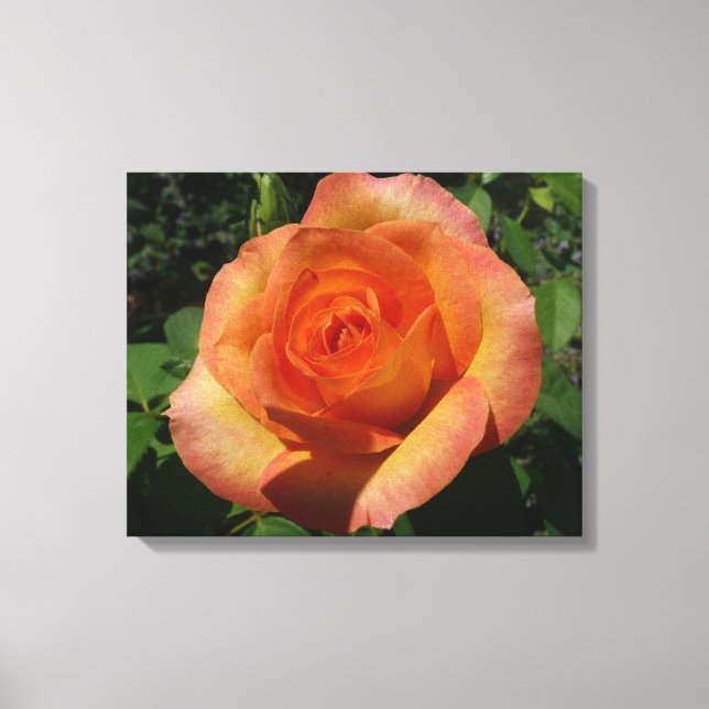 Lienzo Fotografía de Peach Rosa Naranja Floral (Anverso)
