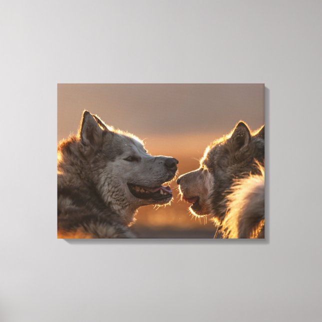 Lienzo Fotografía de perros Huskies (Anverso)