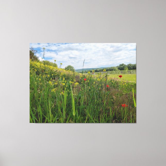 Lienzo Fotografía de primavera a orillas del río (Anverso)
