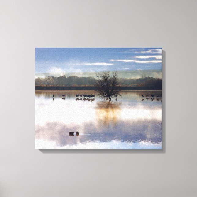 Lienzo Fotografía de Sandhill Cranes Streaming Print (Anverso)