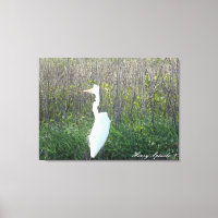 Fotografía de un Egret salvaje sobre lienzo.