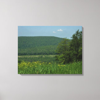 Lienzo Fotografía de verano de Laurel Highlands Pennsylva