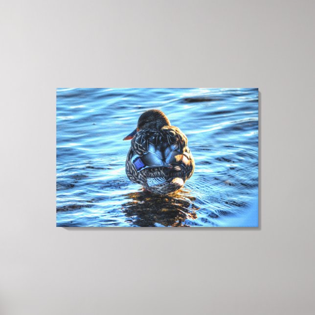 Lienzo Fotografía De Vida Silvestre De Bellas Artes De In (Anverso)