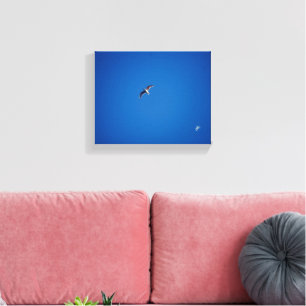 Lienzo Fotografía del cielo de pequeños pájaros en el pas