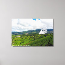Fotografía del paisaje de la plantación de té de M