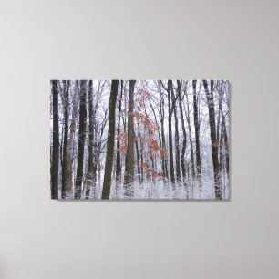 Lienzo Fotografía del paisaje invernal del bosque cubiert