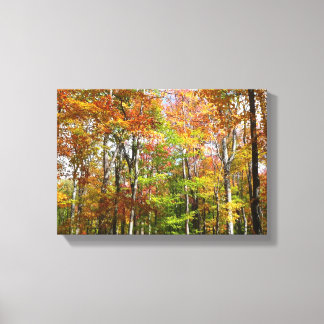 Lienzo Fotografía del paisaje otoñal del bosque otoñal II