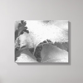 Lienzo Fotografía en blanco y negro de hojas de uva húmed