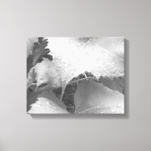 Lienzo Fotografía en blanco y negro de hojas de uva húmed