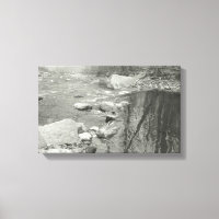 Fotografía en blanco y negro en un río tranquilo