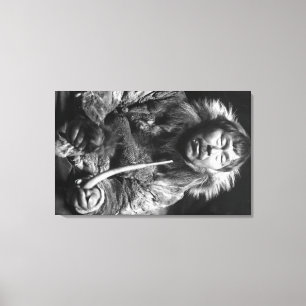 Lienzo Fotografía esquimal de Alaska del tubo que fuma