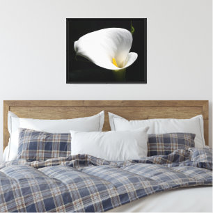Lienzo Fotografía Floral de Calla blanca Lily