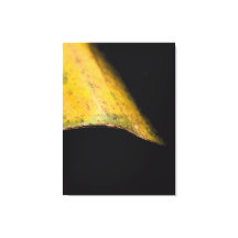 Fotografía minimalista de la naturaleza Hoja en la