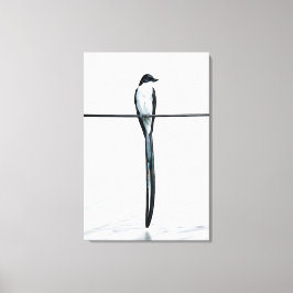 Lienzo Fotografía minimalista de pájaro en alambre