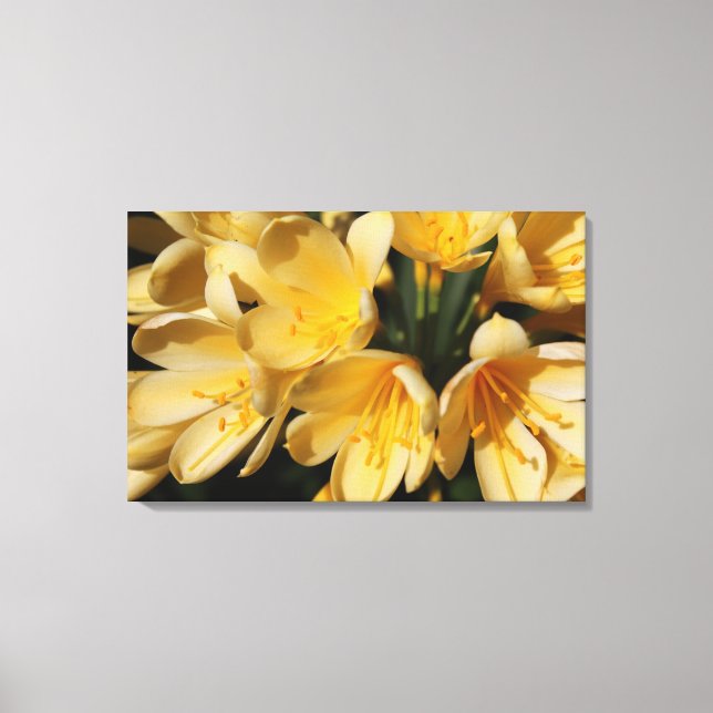 Lienzo Fotografía original de Flores (Anverso)