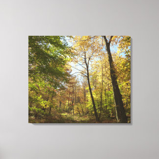 Lienzo Fotografía paisajística del segundo bosque de otoñ