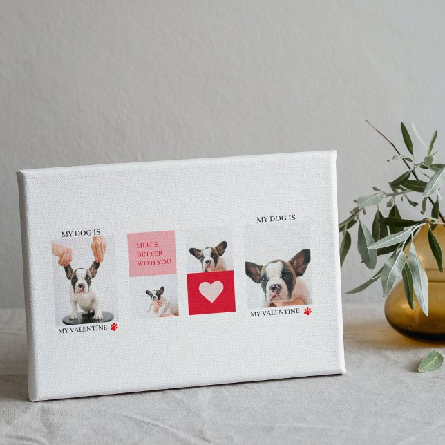 Lienzo Fotos de perros de colección | Mi Perro Es Mi Vale (Subido por el creador)