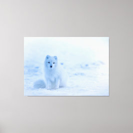 Lienzo Fox Bebé Blanca Artica en Nieve