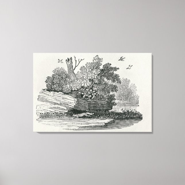 Lienzo Fox escapa, 'La historia general de (Anverso)