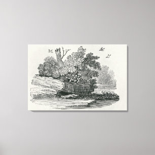 Lienzo Fox escapa, 'La historia general de