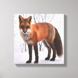 Lienzo Fox Roja En Invierno