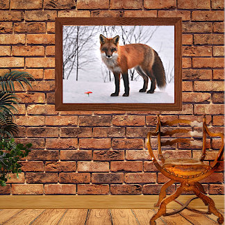 Lienzo Fox roja en nieve