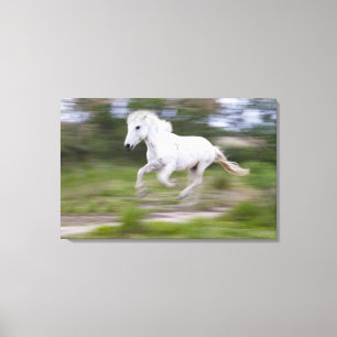 Lienzo Francia, Bouches du Rhone, Parque Natural Regional