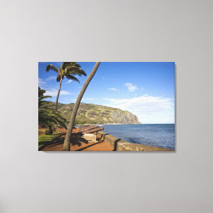 Lienzo Francia, Isla Reunión, St-Denis, vista de La