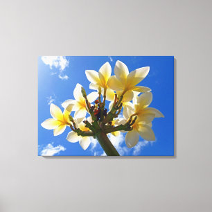 Lienzo Frangipani hawaiano