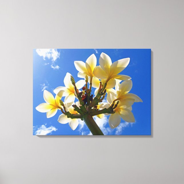 Lienzo Frangipani hawaiano (Anverso)