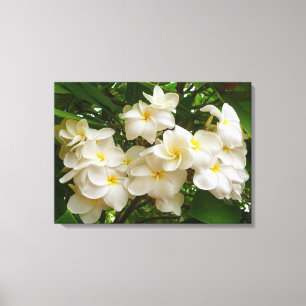 Lienzo Frangipani hawaiano