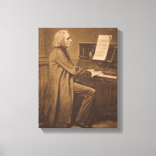 Lienzo Franz Liszt en el piano
