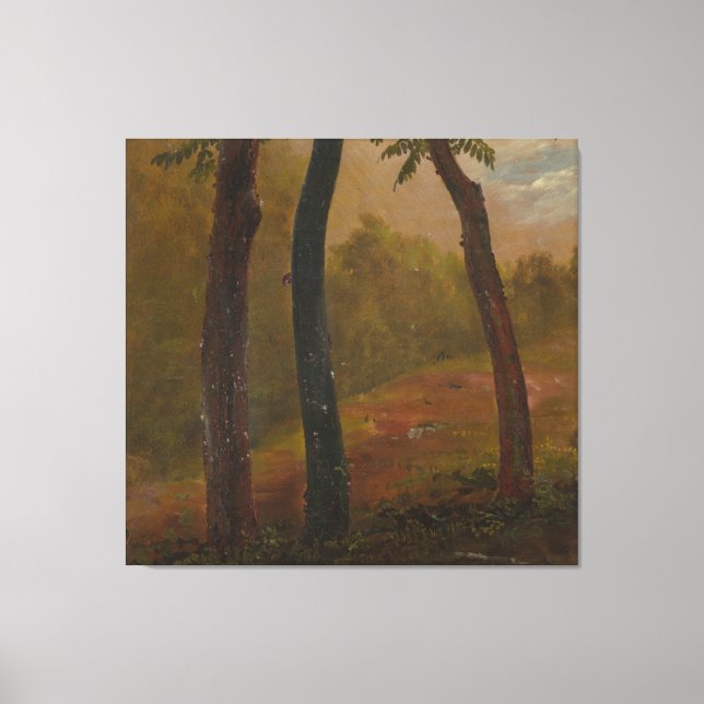 Lienzo Frederic Edwin Church - Escena del bosque (Anverso)