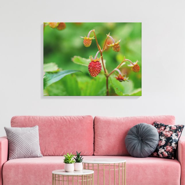 Lienzo Fresa De Bosque Rojo Creciendo En Una Foto De Jard (Insitu (Sala de estar))