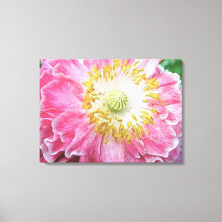 Lienzo Frilly Pink Poppy