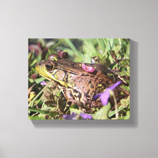 Lienzo Froggy (Anverso)