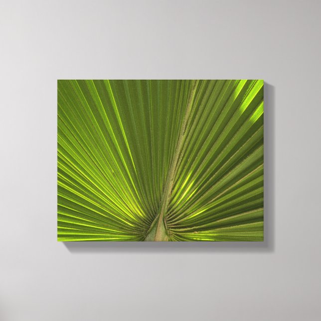 Lienzo Fronda de palma tropical verde (Anverso)