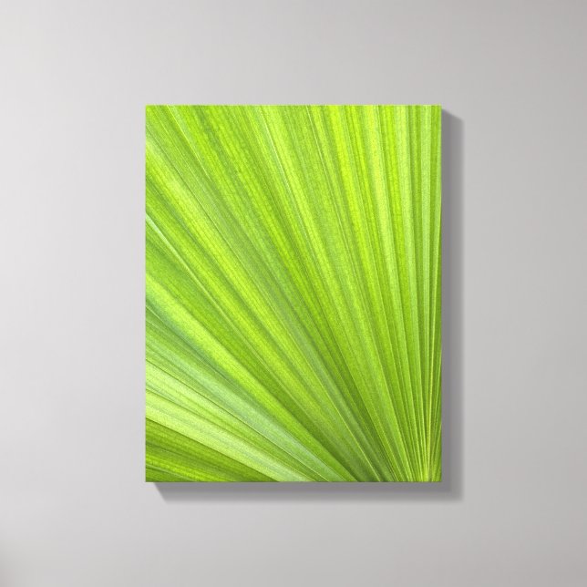 Lienzo Fronda de palma verde tropical (Anverso)