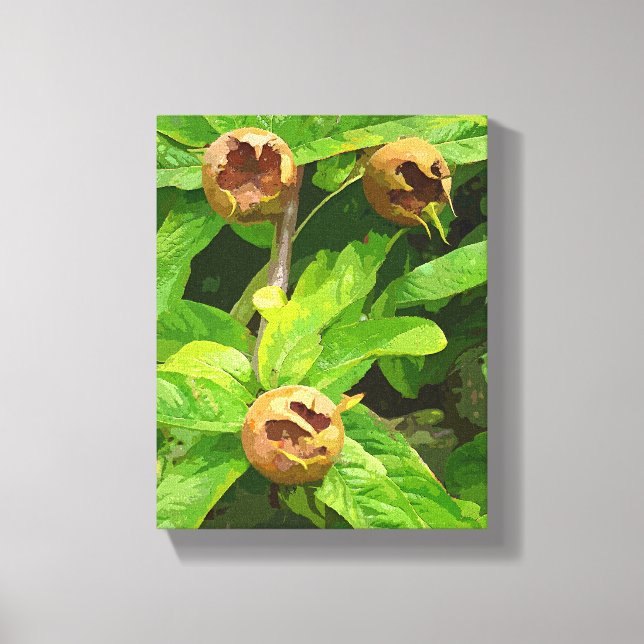 LIENZO FRUTA MEDLAR (Anverso)