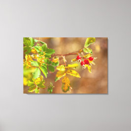 Lienzo Fruta Rosa salvaje