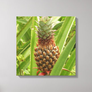 Lienzo Fruta tropical de la piña silvestre en la naturale
