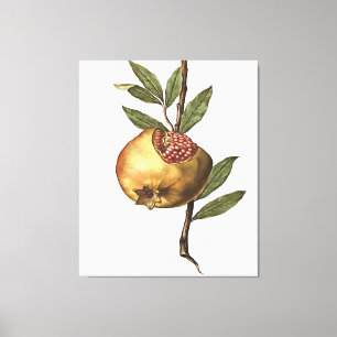 Lienzo Frutas Y Semillas Pomegranadas Mediterráneas