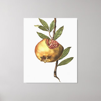 Lienzo Frutas Y Semillas Pomegranadas Mediterráneas