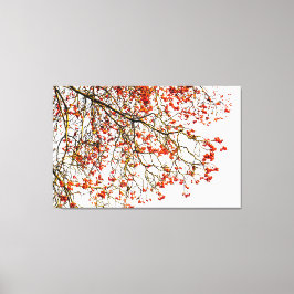 Lienzo Frutos romanos rojos o bayas de ceniza