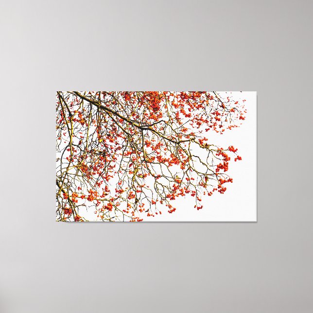 Lienzo Frutos romanos rojos o bayas de ceniza (Anverso)