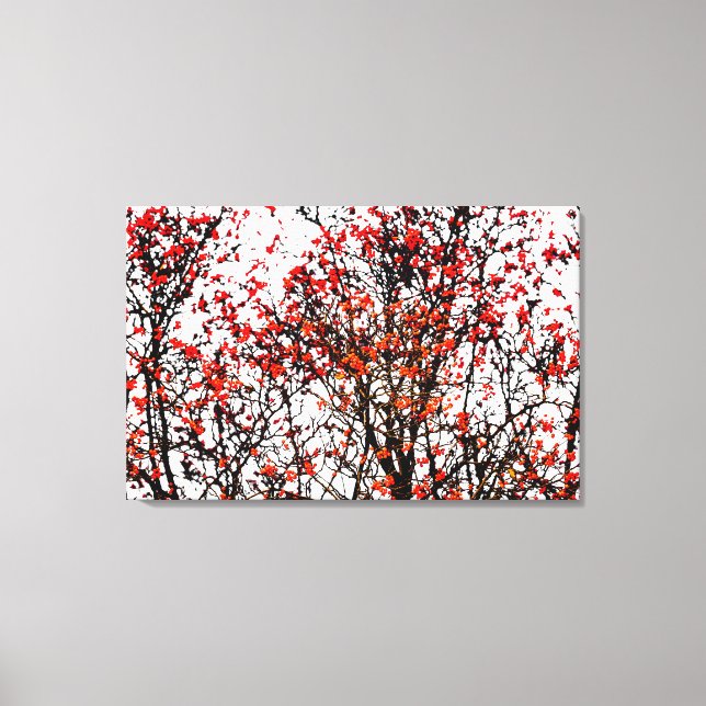 Lienzo Frutos romanos rojos o bayas de ceniza (Anverso)