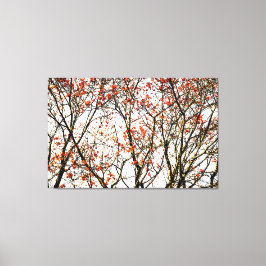 Lienzo Frutos romanos rojos o bayas de ceniza